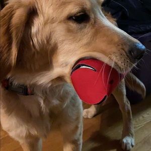 Meet your Posher, Kyle